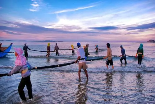 精彩刺激的拉网捕鱼!