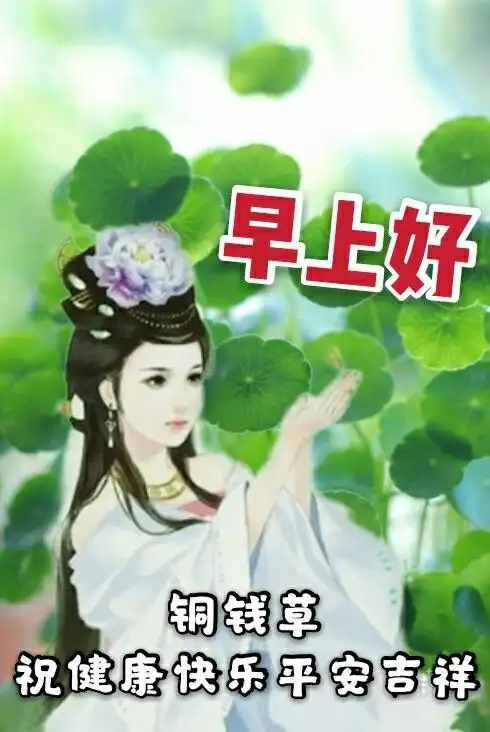 早上好!真诚的问候.(2)