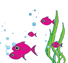 它们的小嘴一张,小鱼食自己就投进小鱼崽的肚 子里.