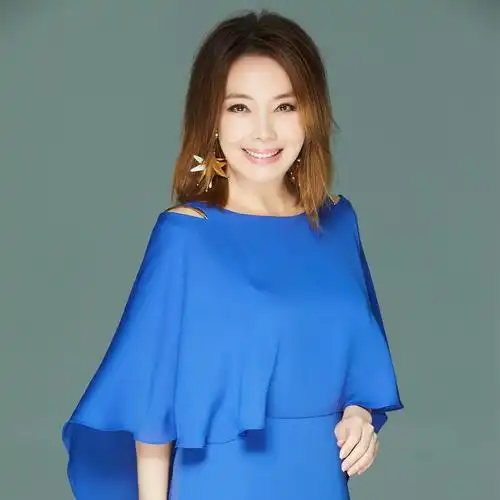 辛晓琪个人资料