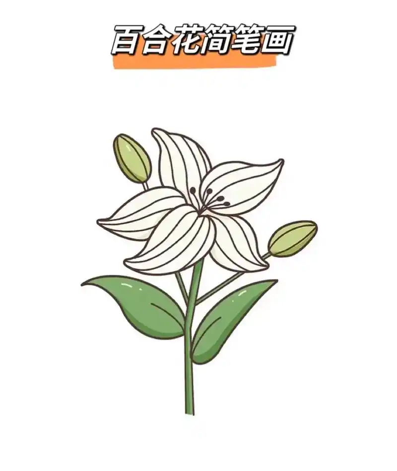 纯白洁净的百合花#一起学画画 #每日一画 #跟着抖音学画画  - 抖音