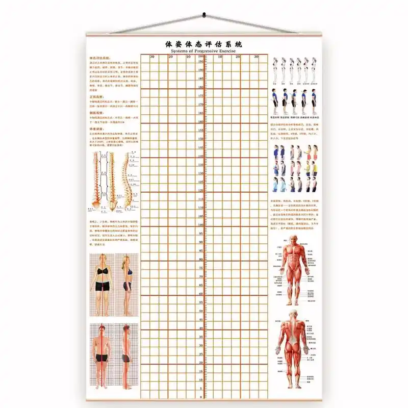 体姿体态评估图表    	 瑜伽馆,健身房,中医理疗,体态测评表 	 画布