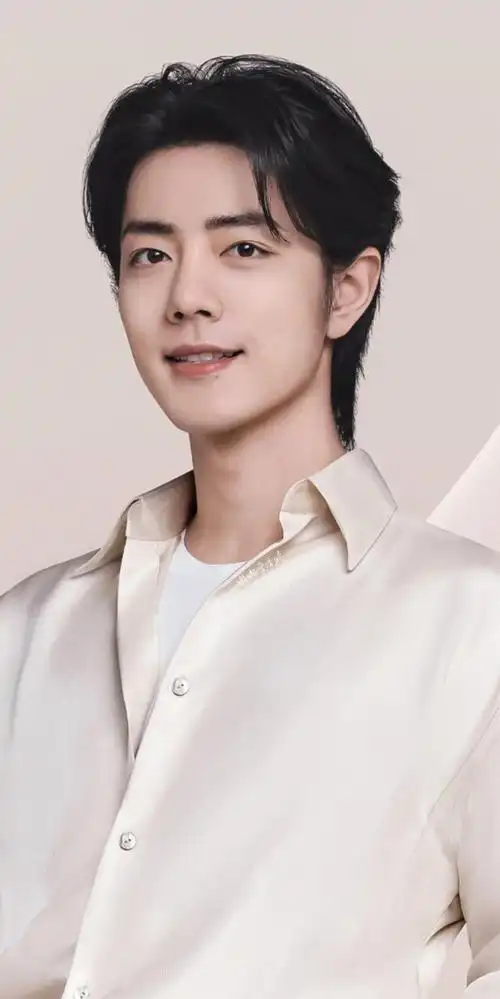 肖战石头全球品牌代言人##肖战藏海传