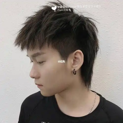 第几款呢男士狼尾小碎盖男士发型设计男生发型推荐2022年男生鲻鱼头