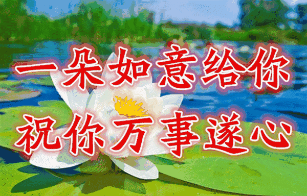 早上好一首一晃就老了太好了句句实在唱到心坎里