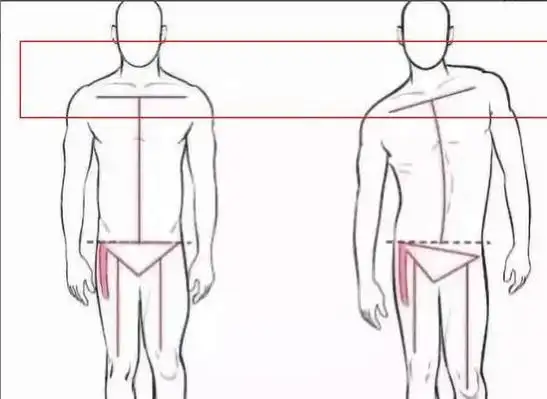 瘦成竹竿都有小肚子,"骨盆前倾"才是罪魁祸首,明星都逃不过|坐姿|肌肉