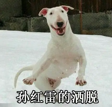 周冬雨的凝视系列 - 365表情包