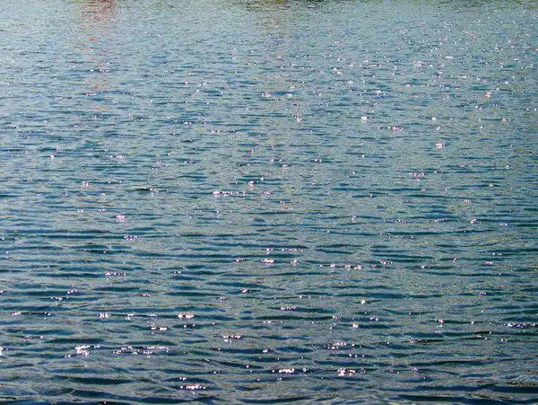 池塘,高清图片,免费下载 - 绘艺素材网