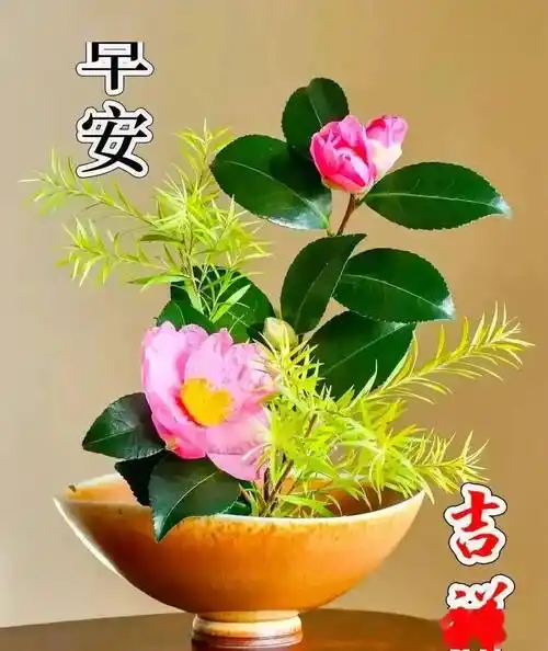 彼此的往来,是修来的福分,每天的问候,是难得的缘分,最美的祝福,送给