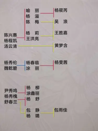 简易族谱图表(副本)