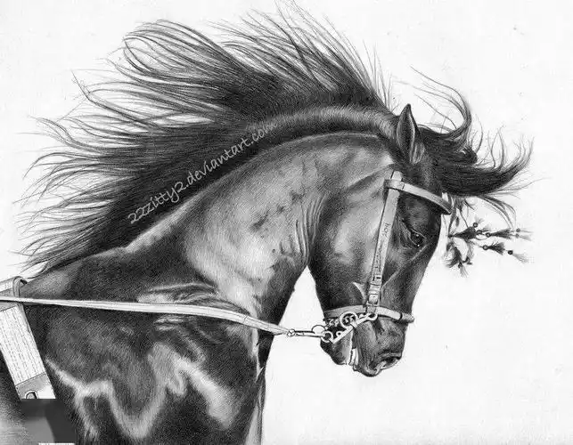 独角兽素材参考