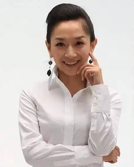 主持人王芳:29岁嫁大15岁教授,31岁独自产检生女,她如今怎样了_类节目