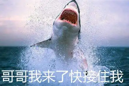 抖音鲨鱼图片分享_鲨鱼沙雕表情包大全(暂未上线)