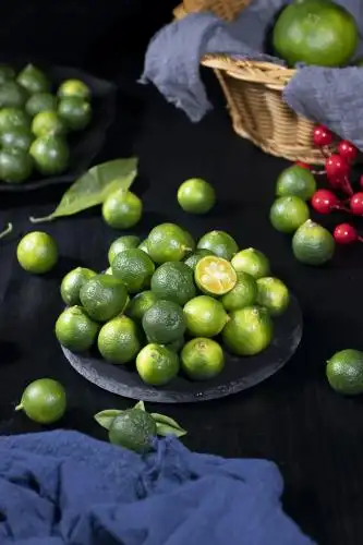 海南青金桔 青桔 小青桔