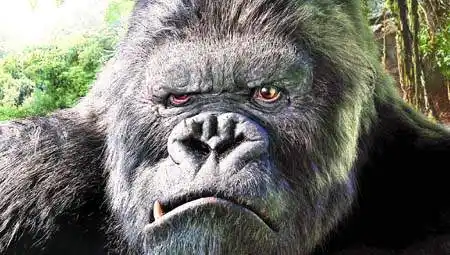 大猩猩金刚逼真造型.