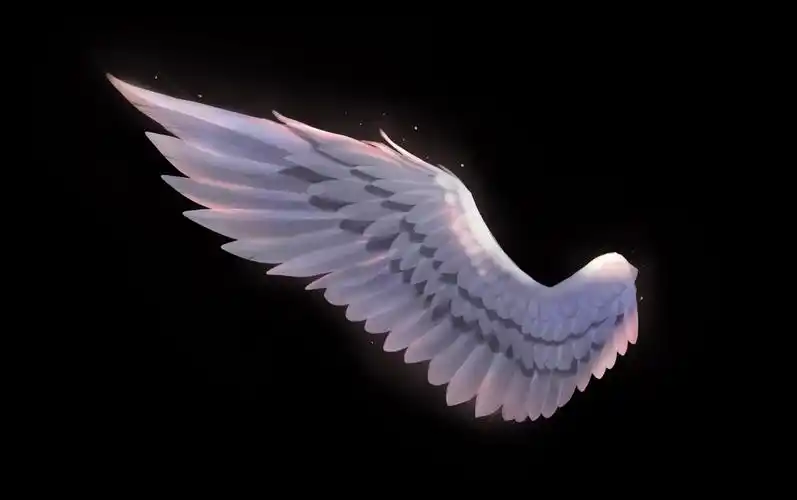 ps速涂练习天使之翼