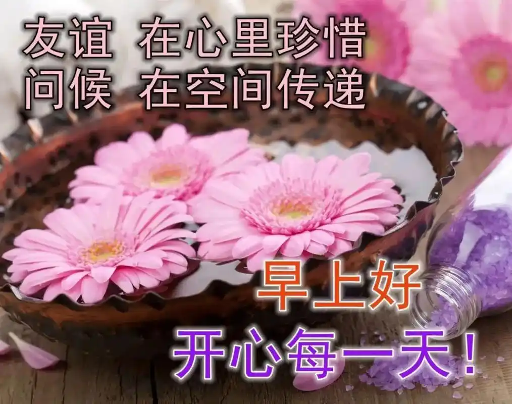 特漂亮的真人美女早安动画表情图片带字,早上好表情祝福语图片