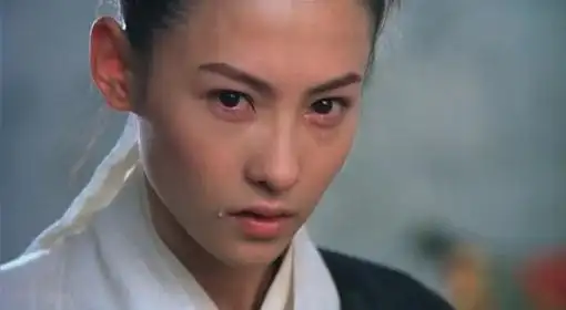 河东狮吼-柳月娥-张柏芝