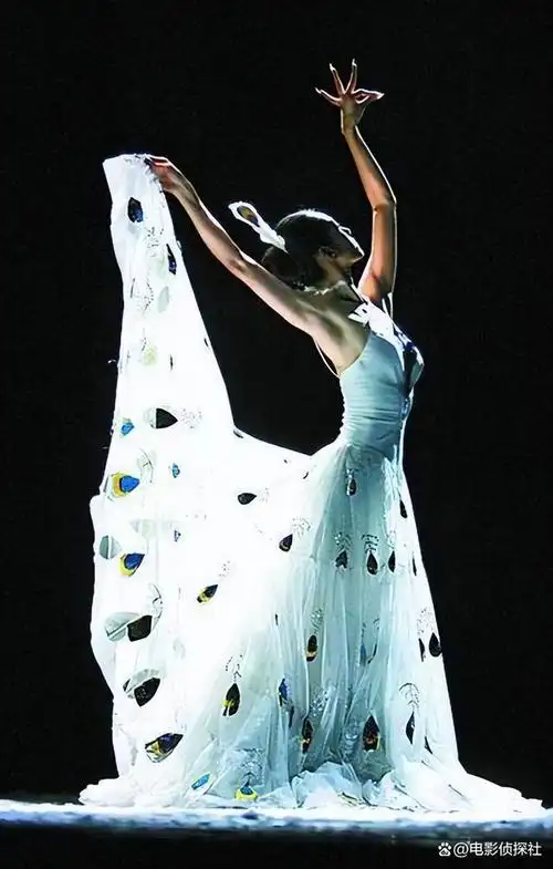 杨丽萍,可以说是中国家喻户晓的舞蹈艺术家,她以"孔雀舞"闻名.