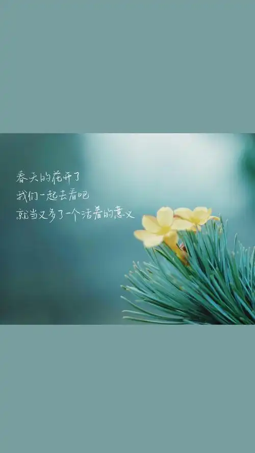 唯美意境文字语录图片手机壁纸