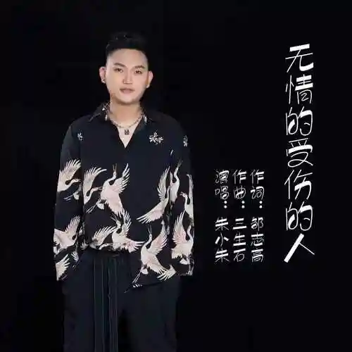 无情的受伤的人 (伴奏)_朱小朱_高音质在线试听_无情的受伤的人 (伴奏