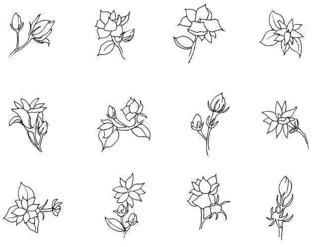 好看易学月季花怎么画月季花的画法简笔画步骤图片花的简单画法简笔画