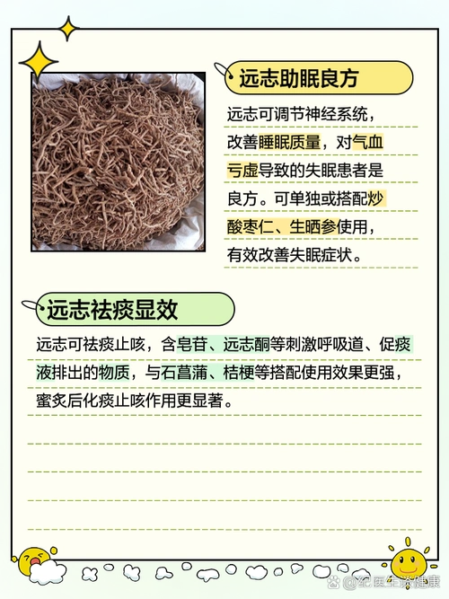 远志的作用和功效