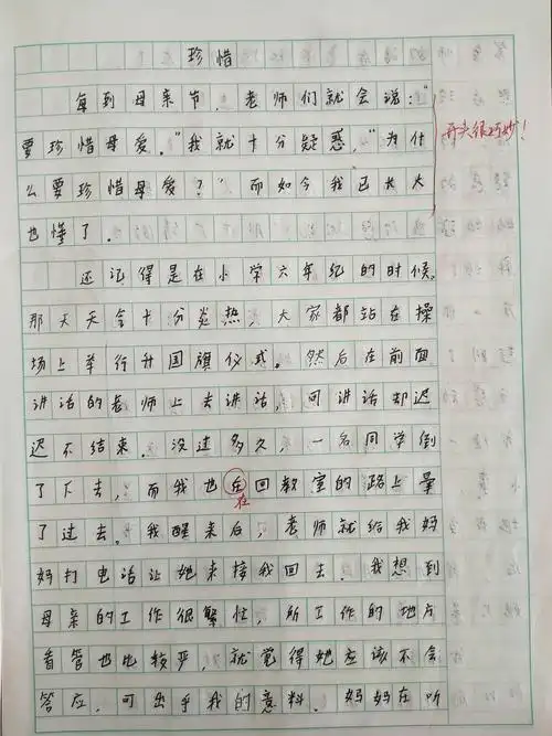 这是张海婷的作文,其作文最大亮点就是真实自然,正所谓"真感情好文章"