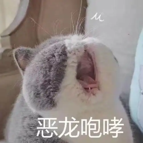 恶龙咆哮 - 斗图表情包 - 斗图神器 - adoutu.com