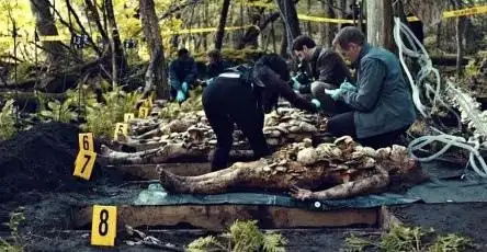 他们开展的业务包括:凶杀,自杀,意外,毒品实验以及一些大量动物死亡的