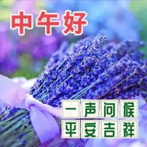 中午好图片大全午安心语午安图片