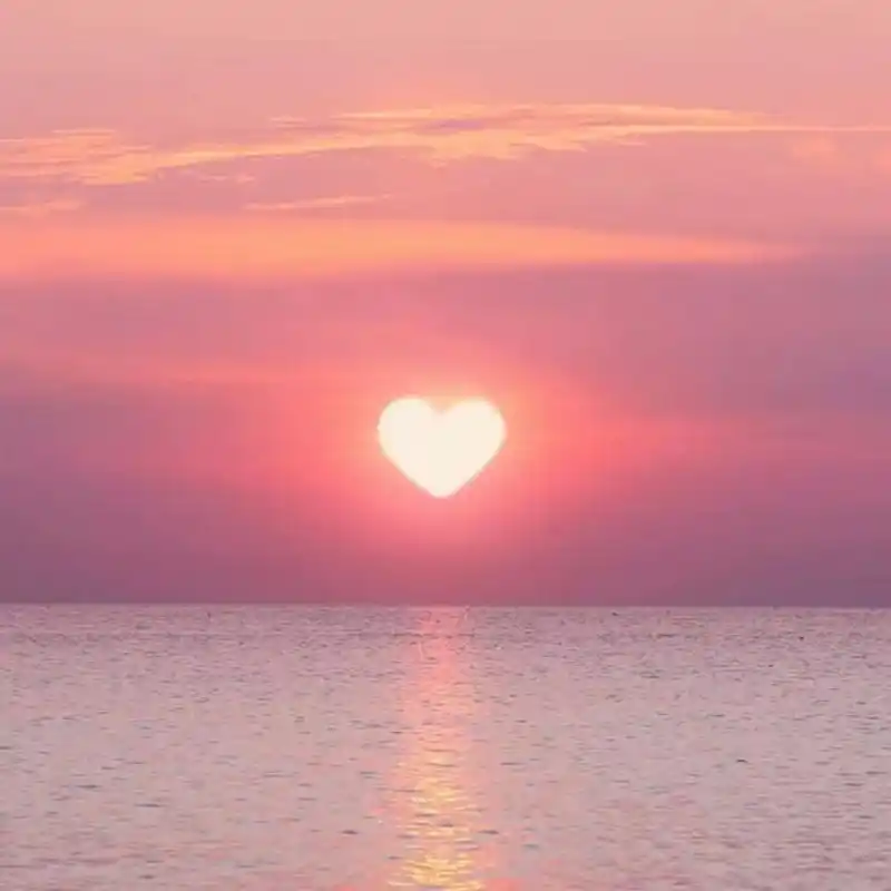 " 我不要诗和远方 我只要你和明天 " 朋友圈文案/粉色背景图ins