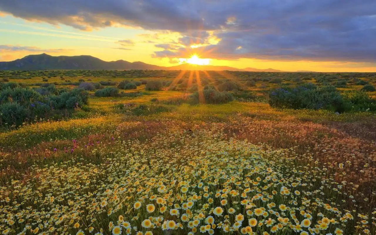 大自然山水美景唯美意境图片桌面壁纸第一辑