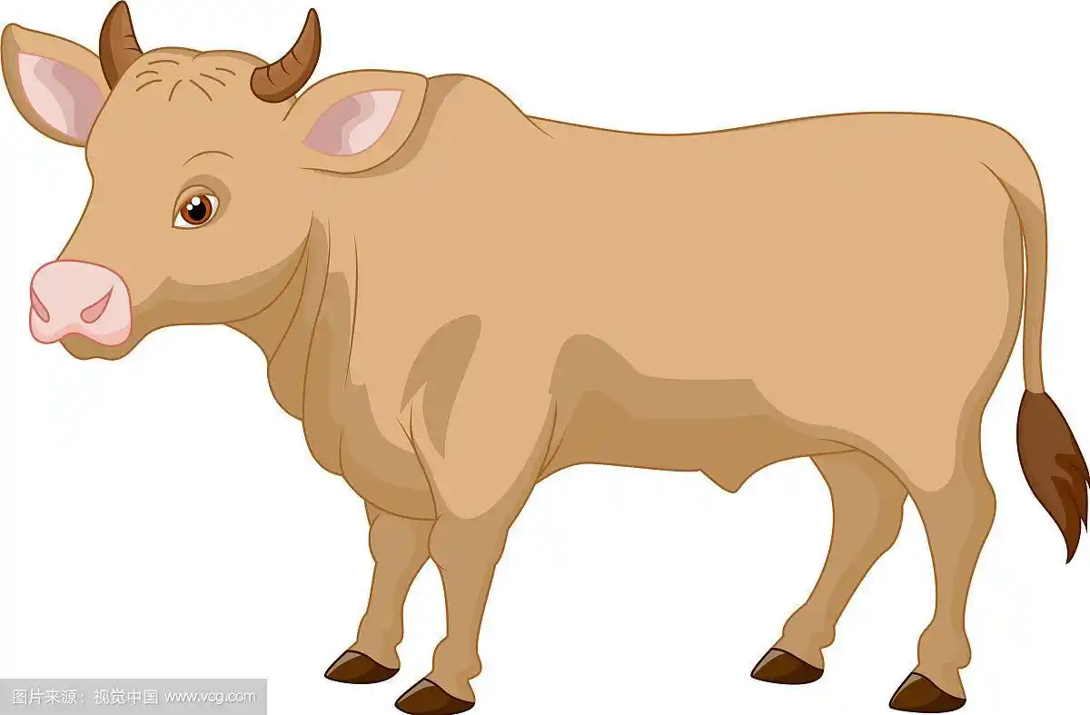 卡通牛