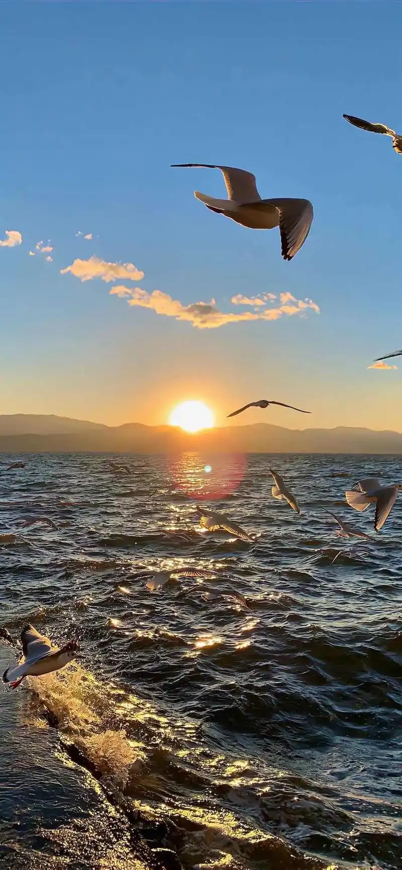 苹果14promax壁纸,有要的私信 - 抖音