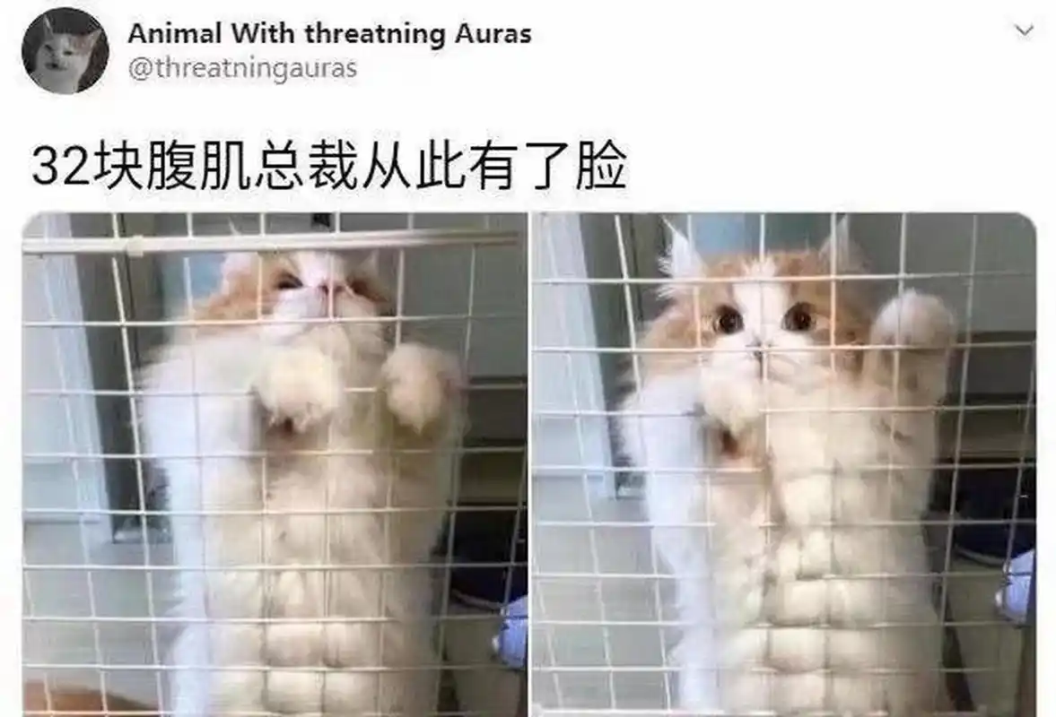 不就是腹肌吗,看我有32块!