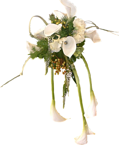 透明png素材篇各种花草花卉png免抠素材