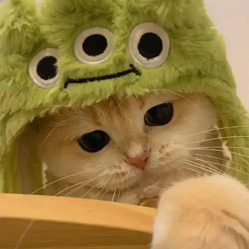 头像 | 高级氛围感微信头像