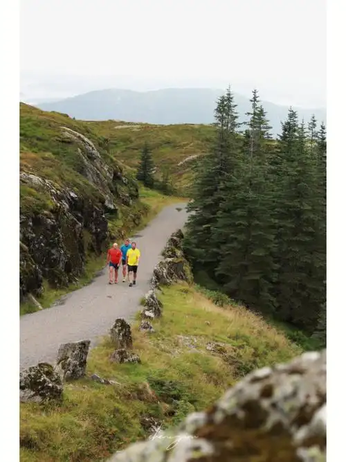 摄影挪威的森林