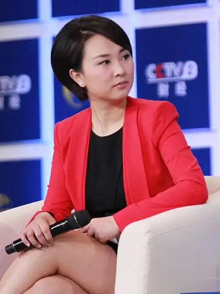 图文:中央电视台主持人欧阳智薇