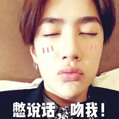 一博王一博憋说话吻我别说话表情包-表情包网站