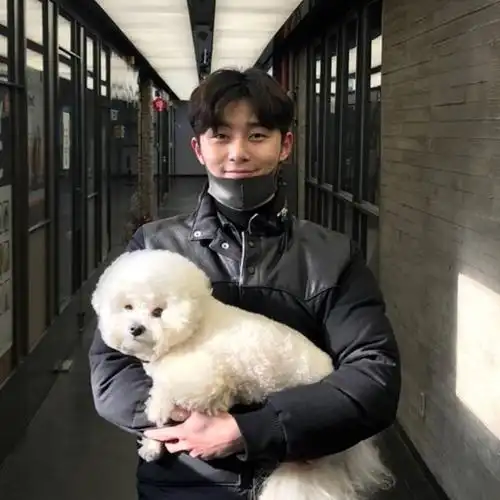 韩剧金秘书为何那样男主朴叙俊ins照片合集