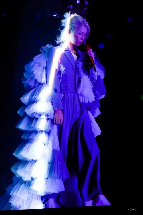 华晨宇 蓝色玫瑰##华晨宇演唱会 花海