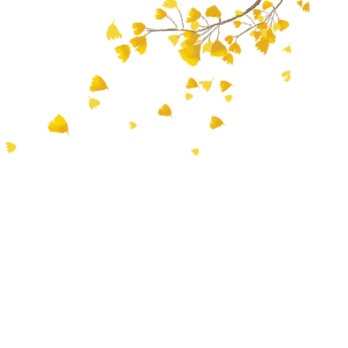 640_640gif 动态图 动图