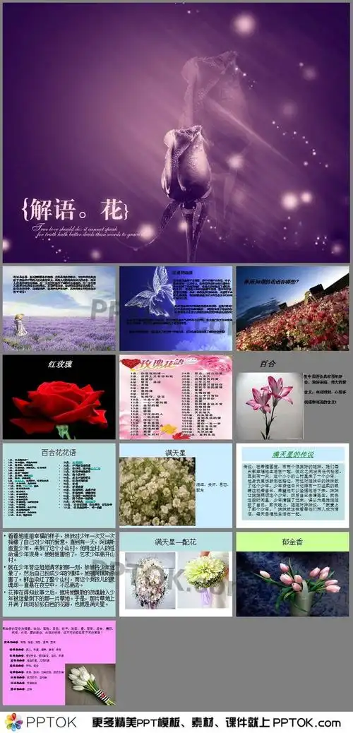 花语ppt模板_pptok