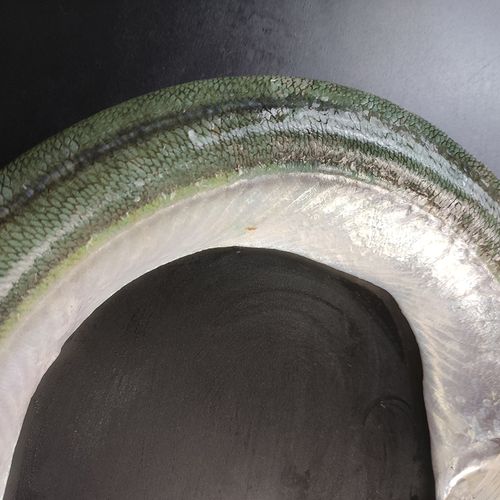 大连海鲜超大马步古董鲜活鹤嘴鱼双针大梁鱼鄂针黄鱼