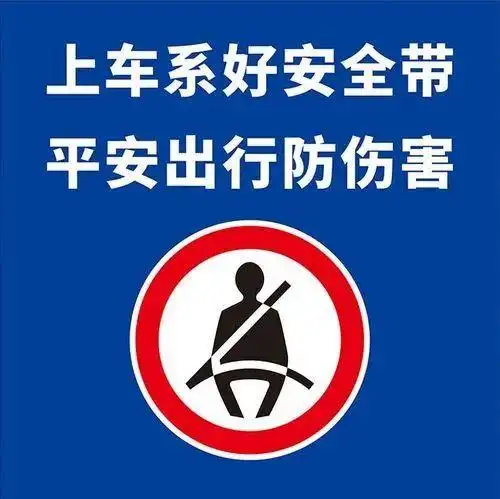 上车系好安全带,平安出行防伤害!|交通事故警示短片