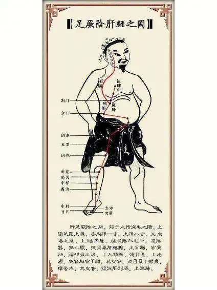 每天刮肝经天天健康又轻松