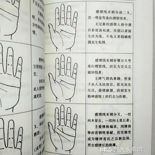 民间俗语断掌一条线富贵不相欠什么意思你是断掌吗