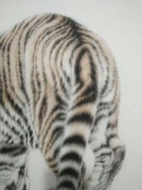 其它 在网络班学习工笔小老虎的记录(六) 写美篇  不要画得面面俱到